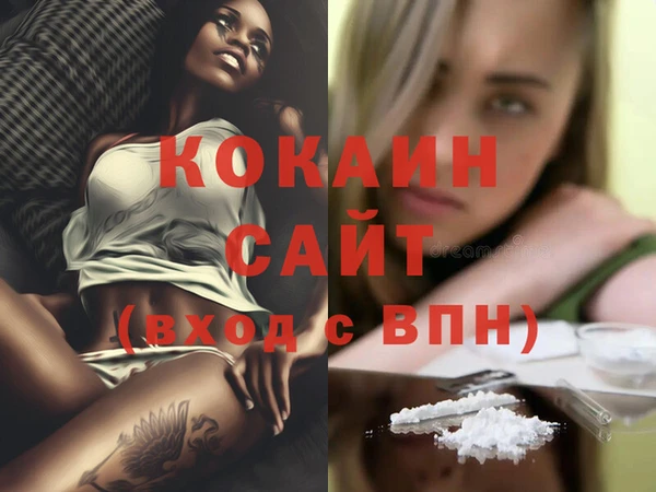дживик Алзамай