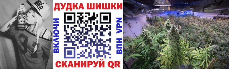 Конопля MAZAR магазин Гаджиево